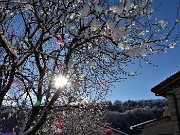 Panorami con le prime nevi da Miragolo S. Salvatore di Zogno il 3 dicenmbre 2020- FOTOGALLERY